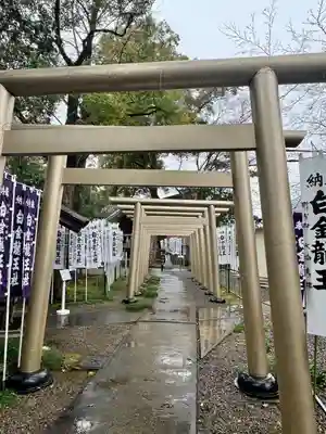 白金龍王社(愛知県)