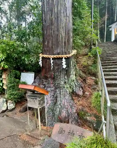 神場山神社(静岡県)