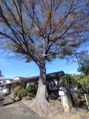 千方神社(埼玉県)