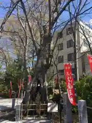 秩父今宮神社の建物その他