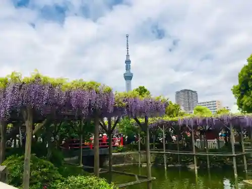 亀戸天神社の庭園