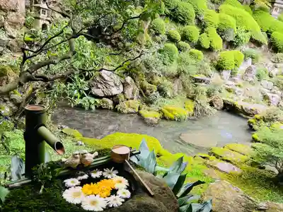 柳谷観音　楊谷寺(京都府)