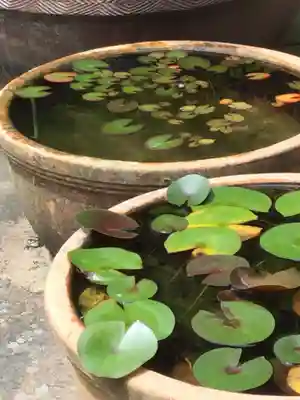 海蔵寺(神奈川県)