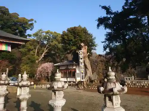 長谷寺のその他建物