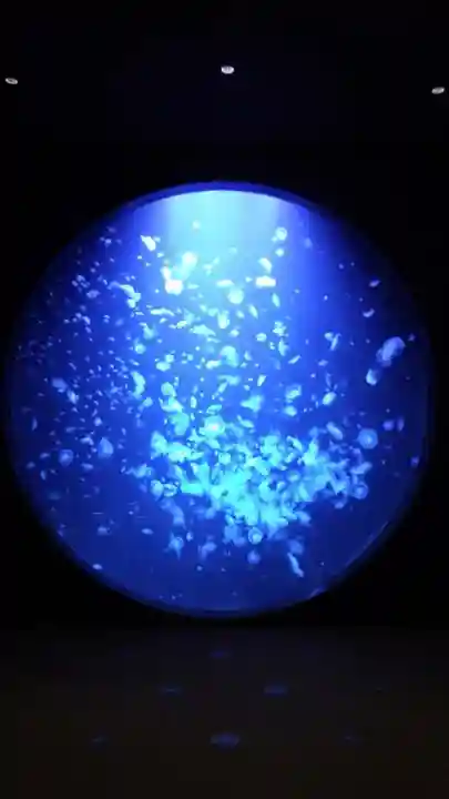 荘内神社(山形県)