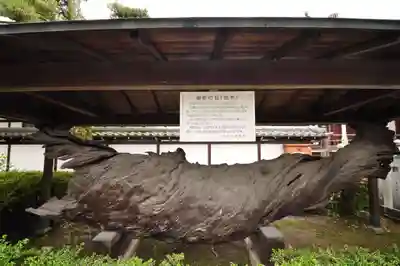 善通寺(香川県)