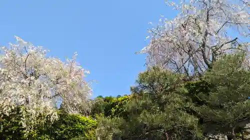 圓光寺(京都府)