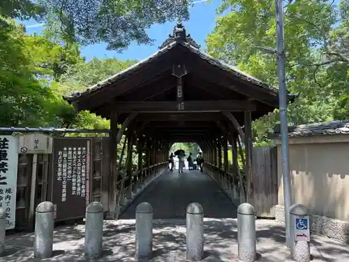 東福禅寺（東福寺）(京都府)