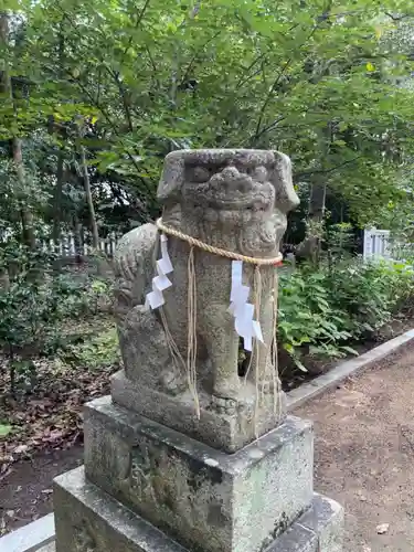 辛國神社の狛犬