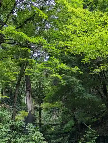 鞍馬寺(京都府)