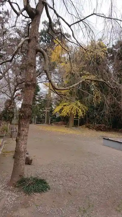 雄琴神社のその他建物