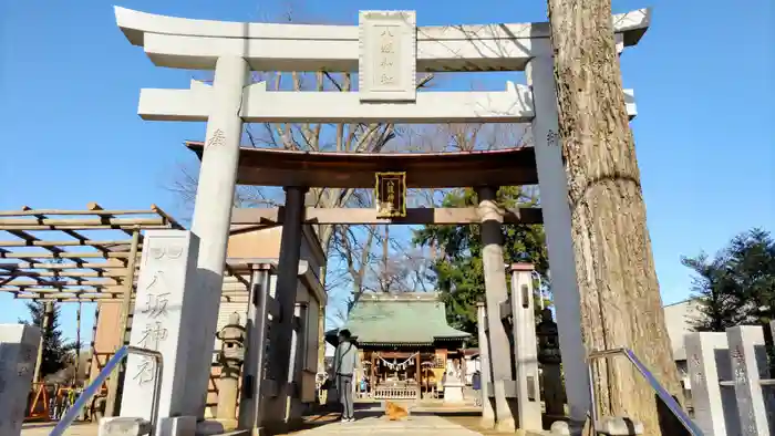 守谷総鎮守 八坂神社の鳥居