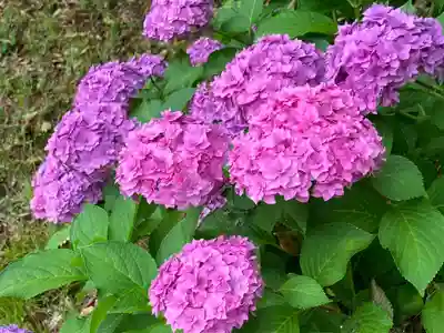 長谷寺(長野県)