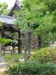 萬福寺の建物その他