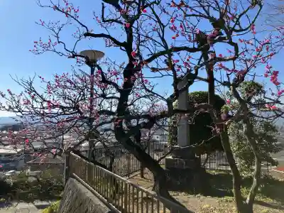 城前寺の{uncategorized: "未分類", other: "その他", undefined: "問題あり", building: "その他建物", grave: "お墓", sacred_gate: "鳥居", guardian: "狛犬", statue: "像", buddha: "仏像", history: "歴史", nature: "自然", garden: "庭園", animal: "動物", pagoda: "塔", temizu: "手水舎", mountain_gate: "山門・神門", sanctuary: "本殿・本堂", subordinate: "末社・摂社", art: "芸術", scenery: "景色", jizo: "地蔵", ema: "絵馬", goshuin: "御朱印", omikuji: "おみくじ", items: "授与品その他", amulet: "お守り", goshuincho: "御朱印帳", eats: "食事", festival: "お祭り", votive_dance: "神楽", shichigosan: "七五三参", wedding: "結婚式", experience: "体験その他", initially: "初詣", around: "周辺", anti_infection: "感染症対策"}