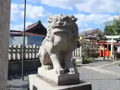 玄武神社の狛犬