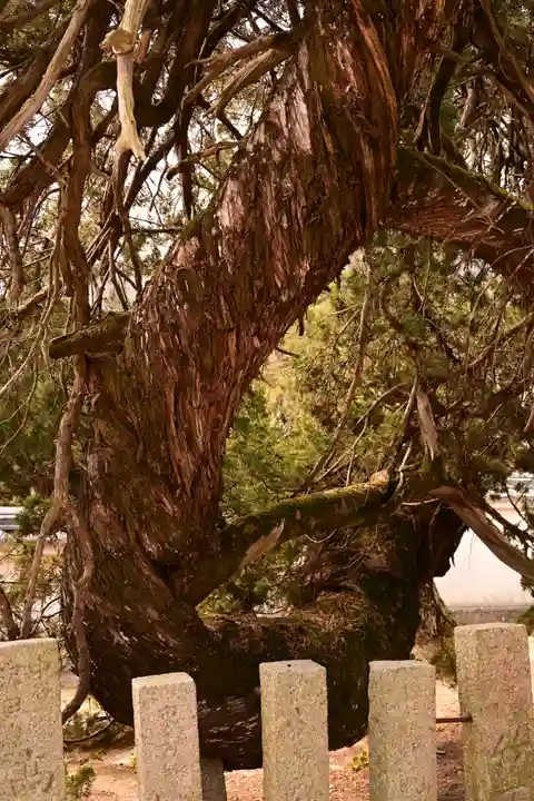 光明坊(広島県)