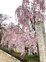 淡河八幡神社(兵庫県)