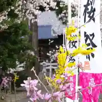 高司神社〜むすびの神の鎮まる社〜の自然
