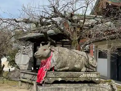 北野天満宮の狛犬