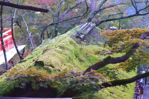 鞍馬寺(京都府)
