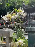 国上寺(新潟県)