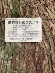 愛宕神社の自然