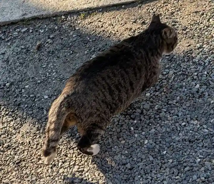 阿邪訶根神社(福島県)