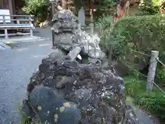 貫井神社の狛犬