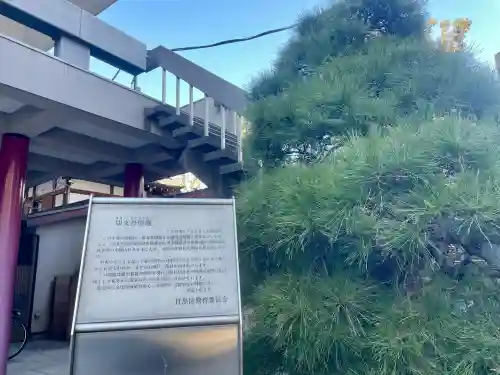 大聖院の{uncategorized: "未分類", other: "その他", undefined: "問題あり", building: "その他建物", grave: "お墓", sacred_gate: "鳥居", guardian: "狛犬", statue: "像", buddha: "仏像", history: "歴史", nature: "自然", garden: "庭園", animal: "動物", pagoda: "塔", temizu: "手水舎", mountain_gate: "山門・神門", sanctuary: "本殿・本堂", subordinate: "末社・摂社", art: "芸術", scenery: "景色", jizo: "地蔵", ema: "絵馬", goshuin: "御朱印", omikuji: "おみくじ", items: "授与品その他", amulet: "お守り", goshuincho: "御朱印帳", eats: "食事", festival: "お祭り", votive_dance: "神楽", shichigosan: "七五三参", wedding: "結婚式", experience: "体験その他", initially: "初詣", around: "周辺", anti_infection: "感染症対策"}