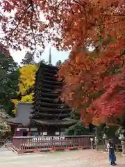 談山神社(奈良県)