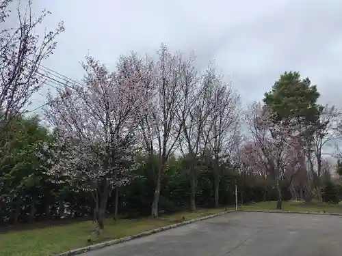 美瑛神社の自然