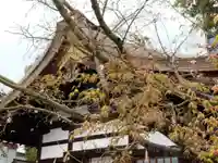 三輪神社の自然