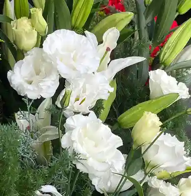 上尾御嶽神社の手水舎