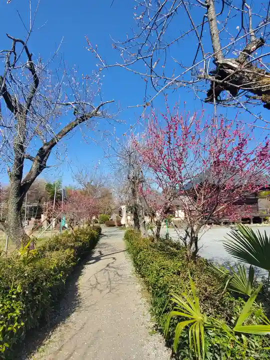 永福寺 童子堂の自然