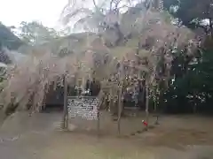 常陸第三宮　吉田神社の建物その他