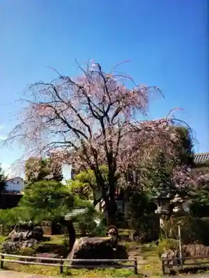 最勝寺(東京都)