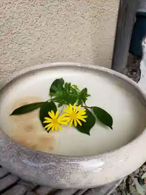 南蔵院の手水舎