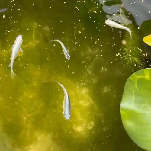 伊勢の国 四天王寺(三重県)