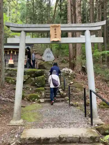 養命神社の{uncategorized: "未分類", other: "その他", undefined: "問題あり", building: "その他建物", grave: "お墓", sacred_gate: "鳥居", guardian: "狛犬", statue: "像", buddha: "仏像", history: "歴史", nature: "自然", garden: "庭園", animal: "動物", pagoda: "塔", temizu: "手水舎", mountain_gate: "山門・神門", sanctuary: "本殿・本堂", subordinate: "末社・摂社", art: "芸術", scenery: "景色", jizo: "地蔵", ema: "絵馬", goshuin: "御朱印", omikuji: "おみくじ", items: "授与品その他", amulet: "お守り", goshuincho: "御朱印帳", eats: "食事", festival: "お祭り", votive_dance: "神楽", shichigosan: "七五三参", wedding: "結婚式", experience: "体験その他", initially: "初詣", around: "周辺", anti_infection: "感染症対策"}