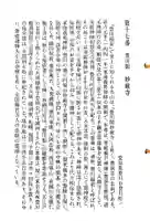 豊川閣 妙厳寺の御朱印