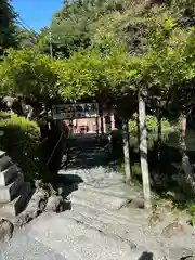 富士山本宮浅間大社(静岡県)