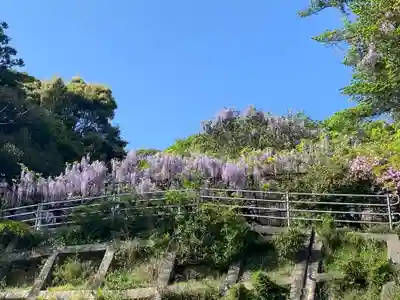 観音堂(山口県)