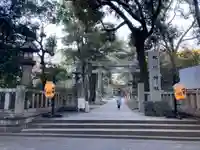 赤坂氷川神社の鳥居