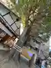上目黒氷川神社(東京都)