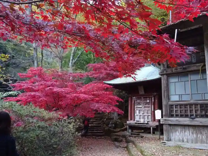 大山寺(神奈川県)