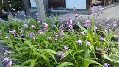 祐正寺(京都府)