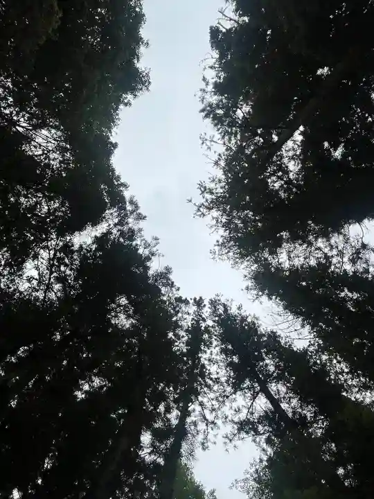 宝登山神社(埼玉県)