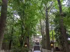 下総国三山　二宮神社の自然