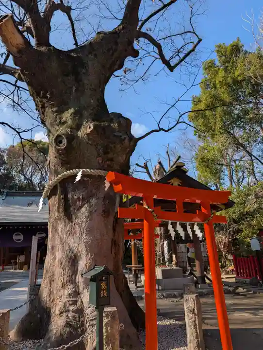 新田神社(東京都)